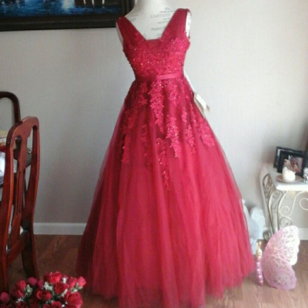 Quinceañera/Sweet Sixteen or Prom Dress